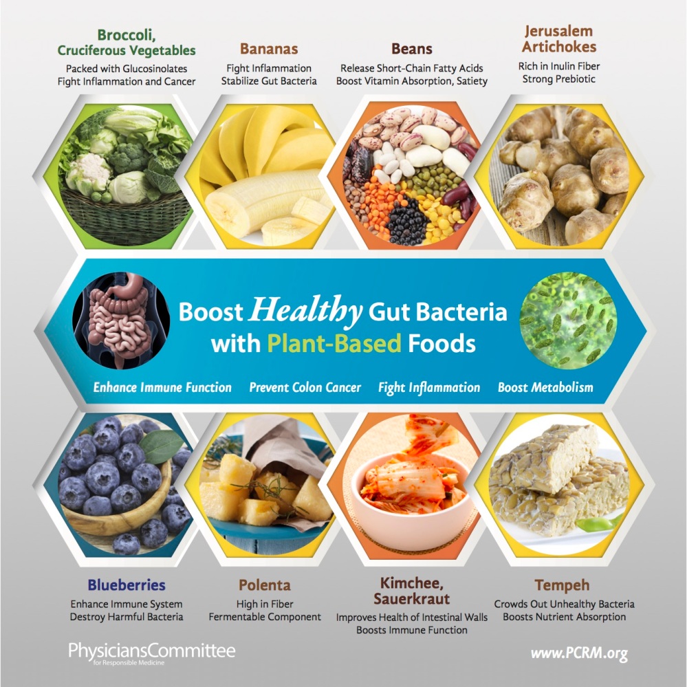 food-and-gut-bacteria-infographic